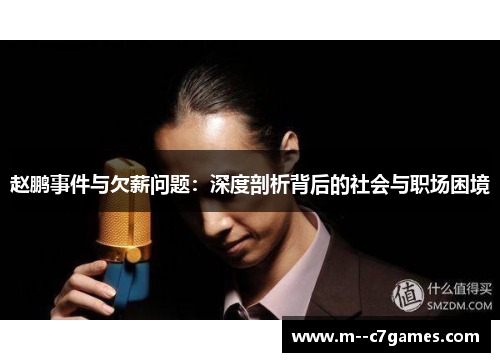 赵鹏事件与欠薪问题：深度剖析背后的社会与职场困境