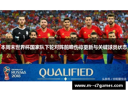 本周末世界杯国家队下轮对阵前瞻伤停更新与关键球员状态