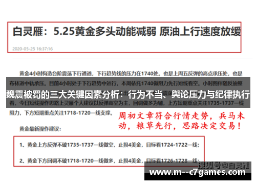魏震被罚的三大关键因素分析：行为不当、舆论压力与纪律执行